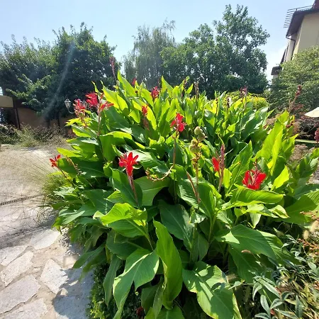 Lägenhet Eden - Garden Of Eden Sveti Vlas